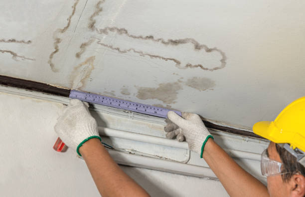Reliable Mold Remediation contractor in Holly Pond, AL by Water Damage Irwin